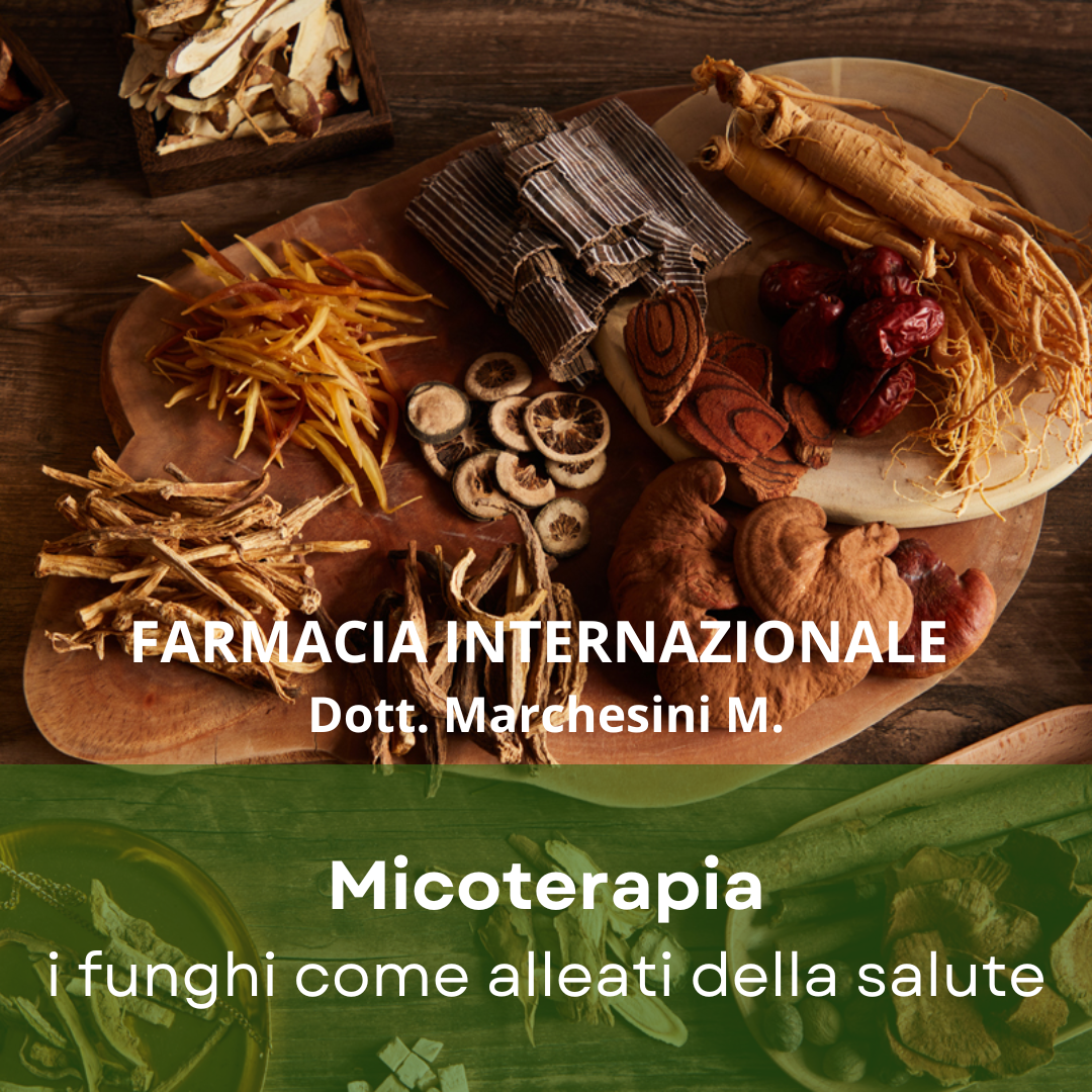🌿 MICOTERAPIA: i funghi come alleati della salute! 🍄