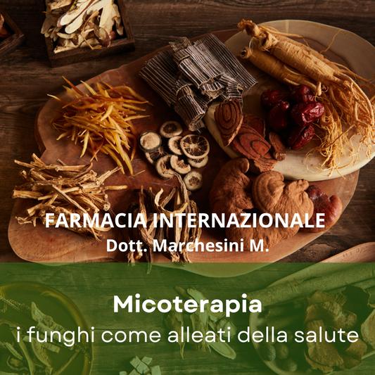 🌿 MICOTERAPIA: i funghi come alleati della salute! 🍄